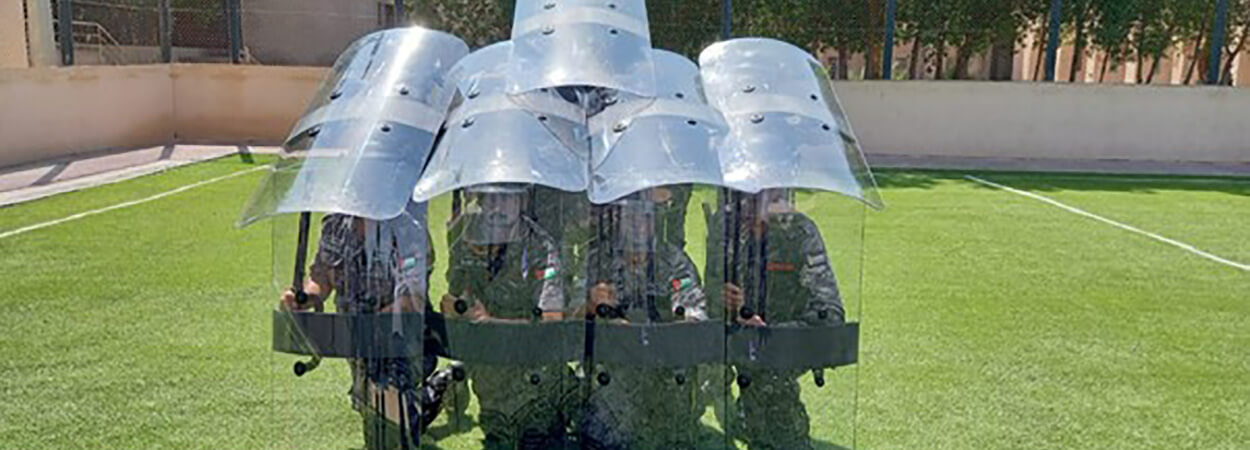 NATIONAL TRAINING SOLUTIONS INC visual data 8